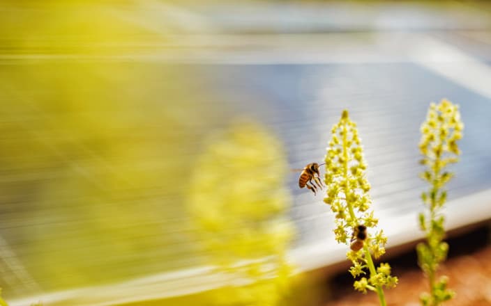 So gelingt die Energieautonomie