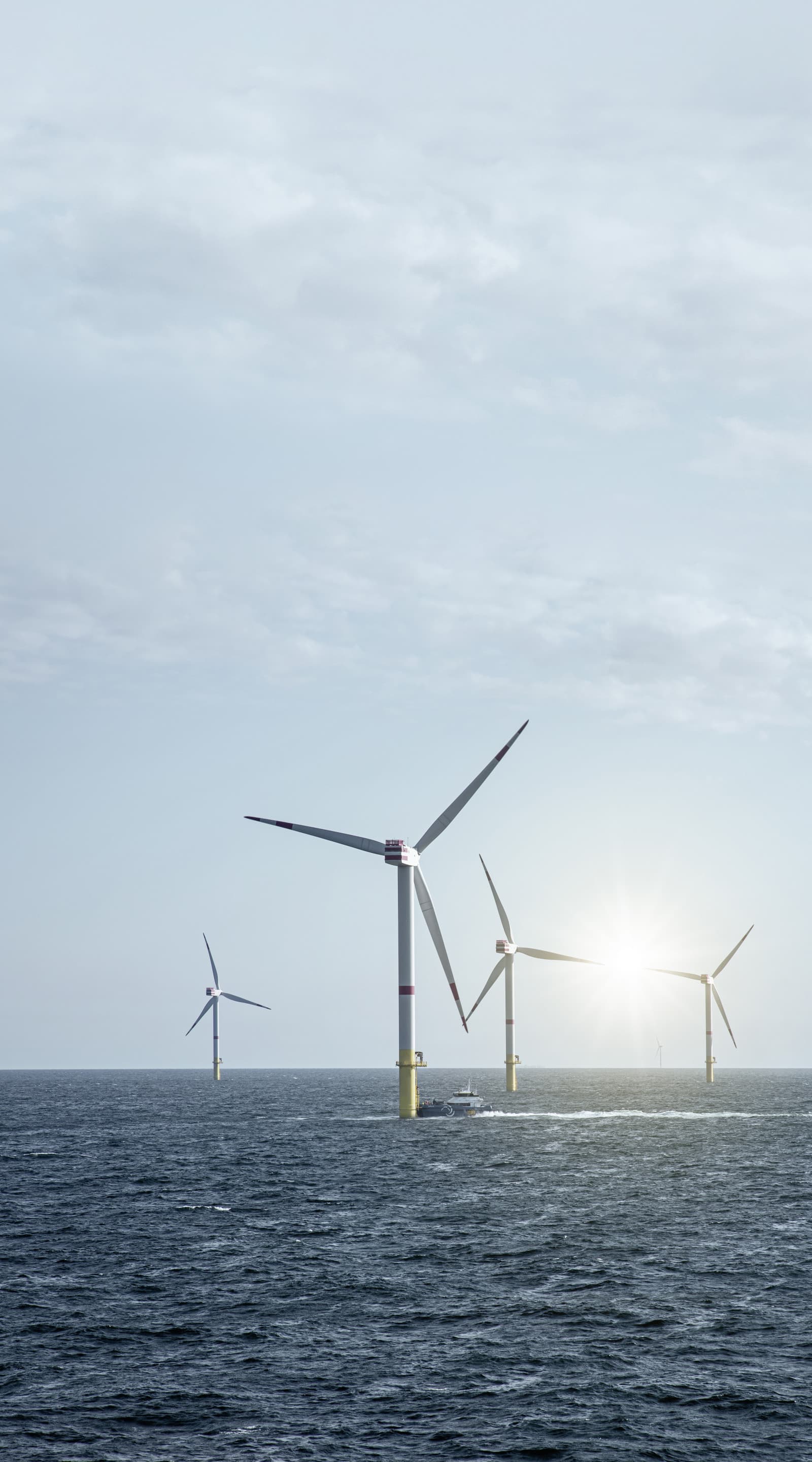 Unternehmen der Energieautonomie: Bachmann electronic GmbH