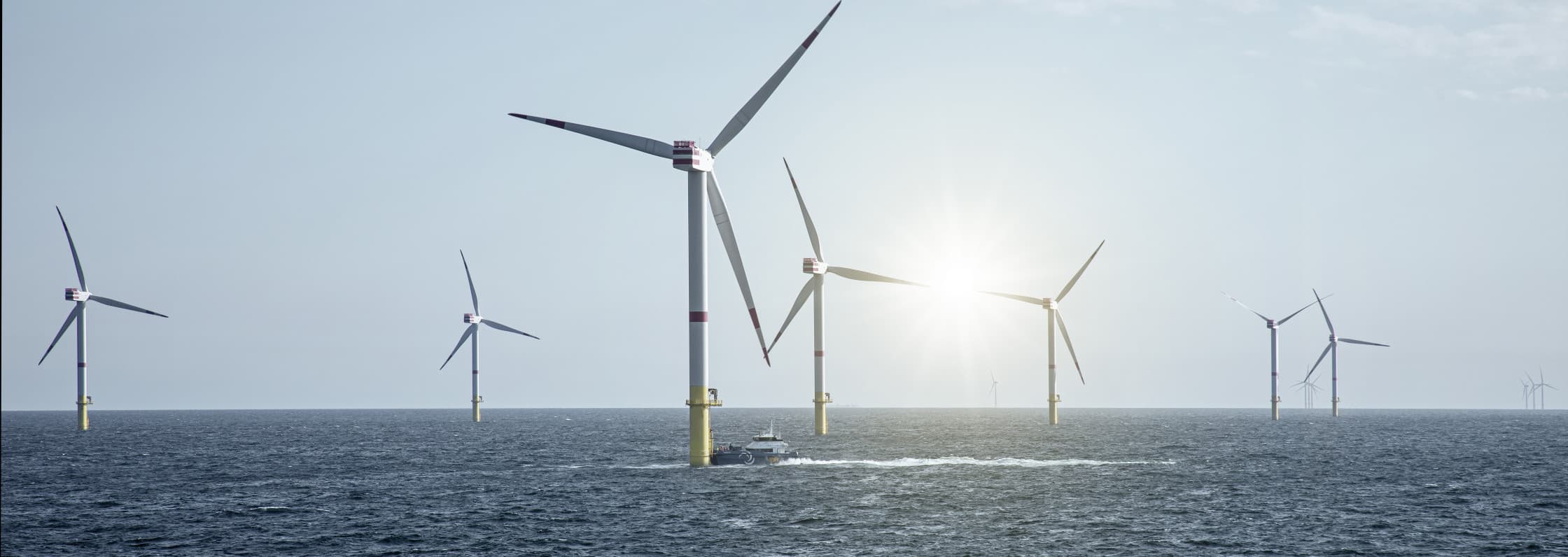 Mehr über Bachmann electronic GmbH