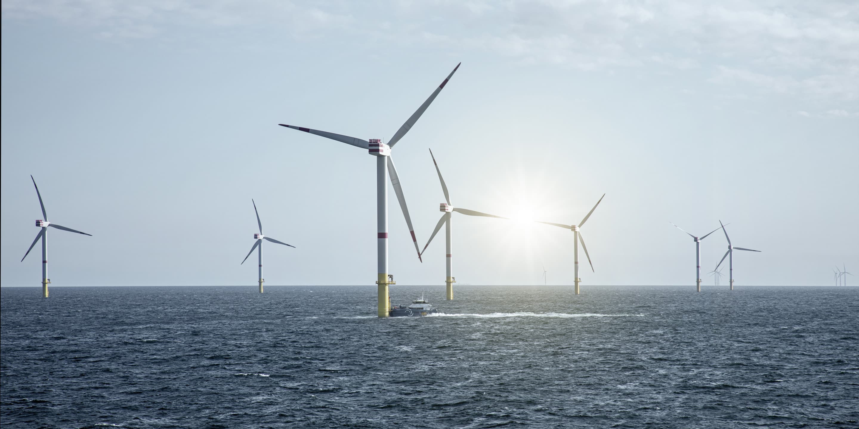 Unternehmen der Energieautonomie: Bachmann electronic GmbH