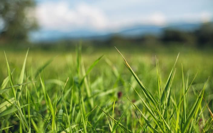 Weitere Erfahrungsberichte
