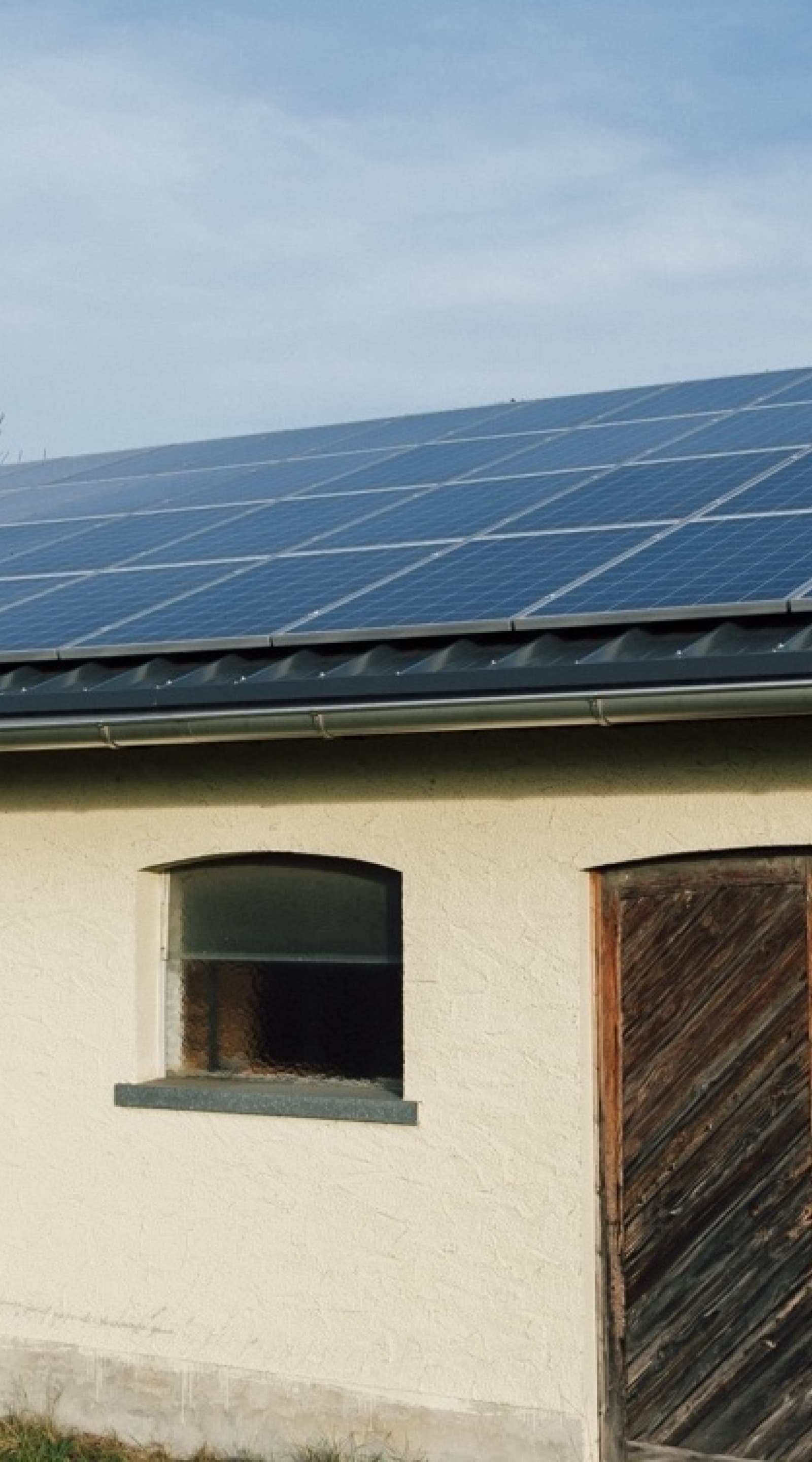 Wo Mensch, Tier und Umwelt profitieren