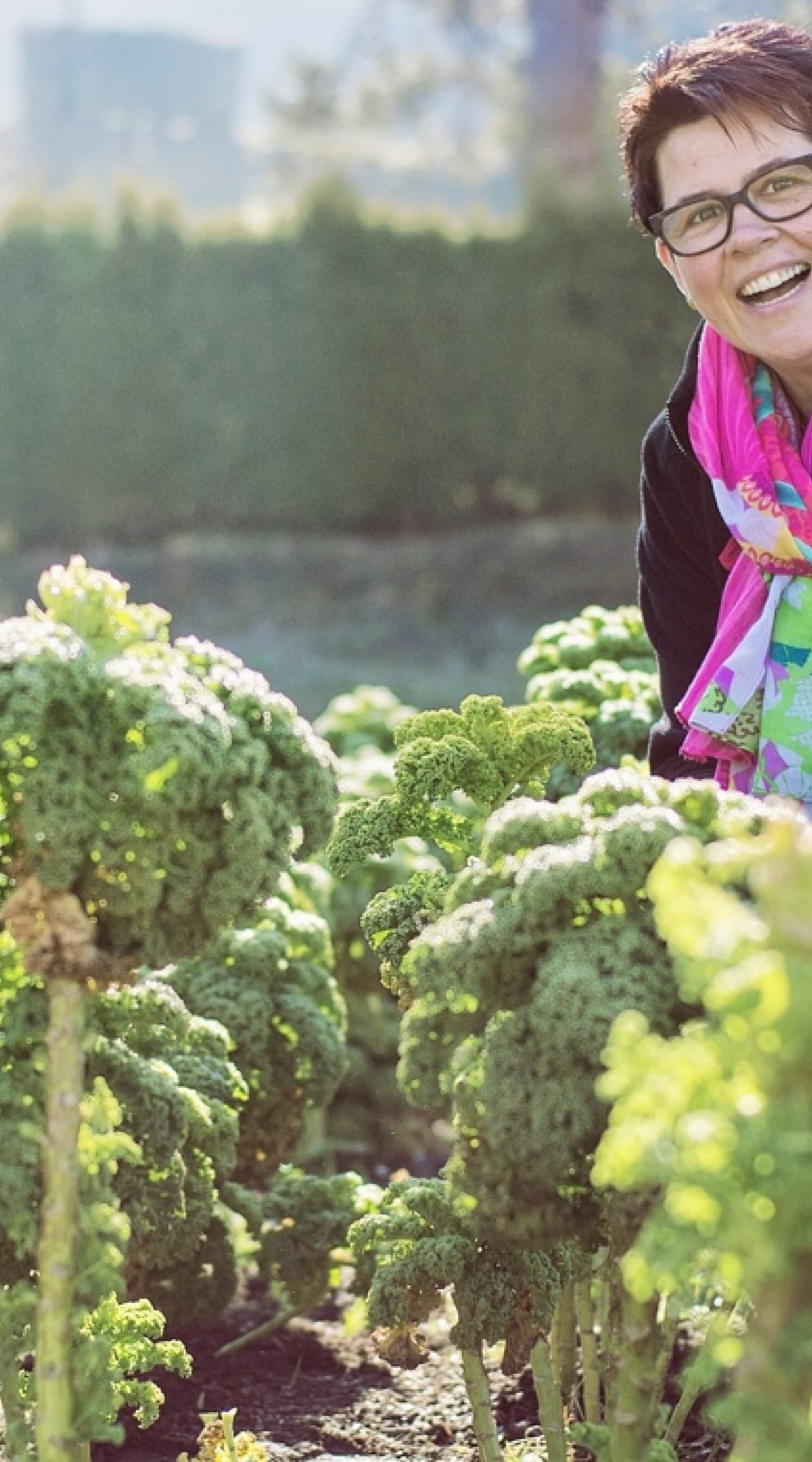 Zurück zu den Wurzeln