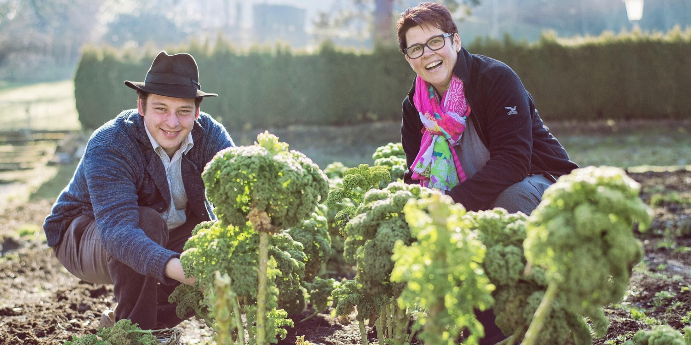 Zurück zu den Wurzeln