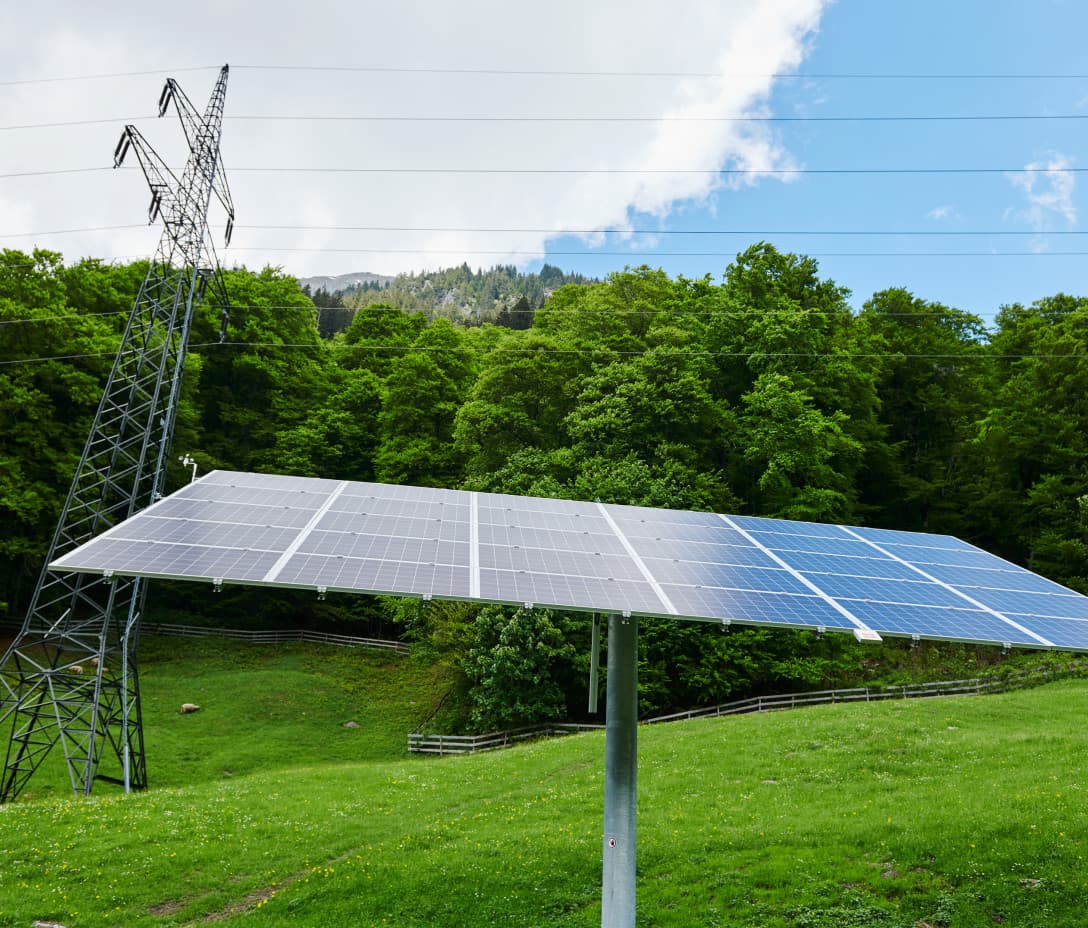 Eine Photovoltaikanlage als Schattenspender für die Schafe