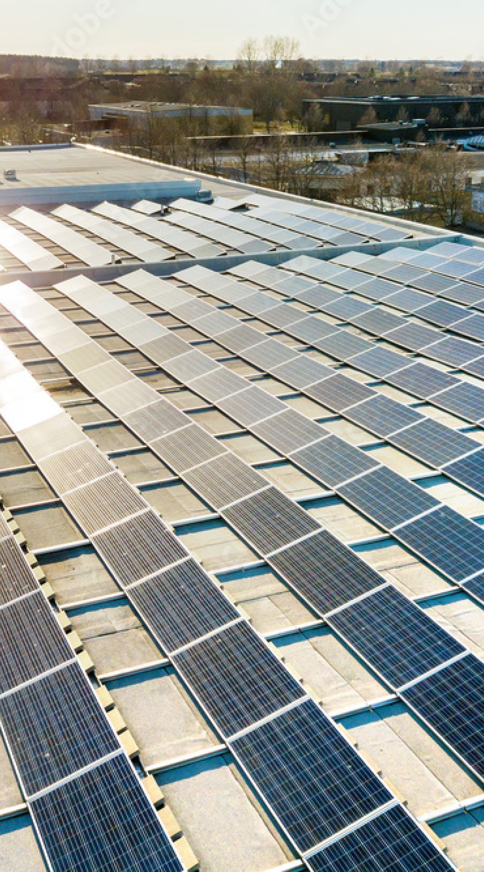 Das 4.000-Dächer-Programm der Wirtschaft