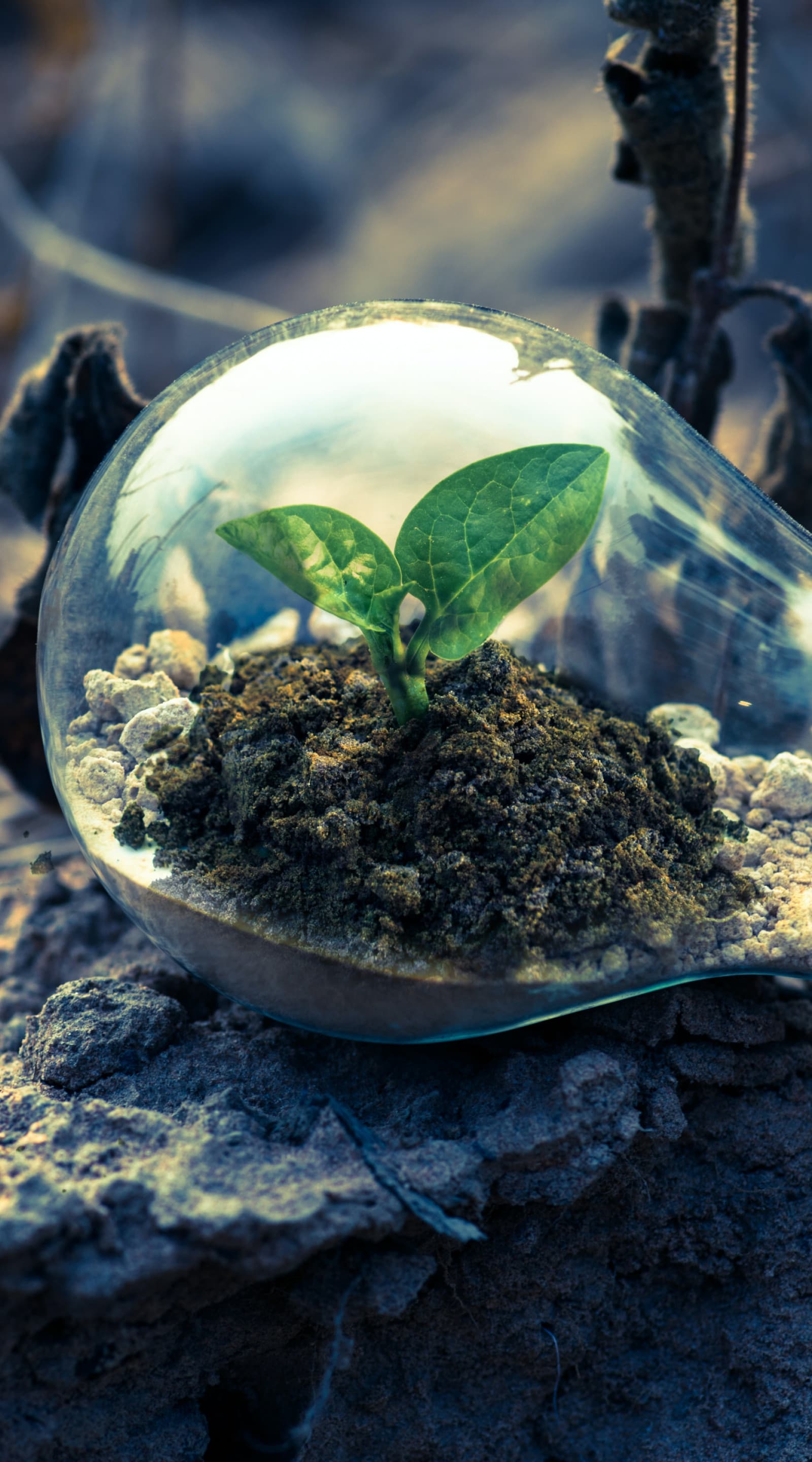 Energiesparoffensive