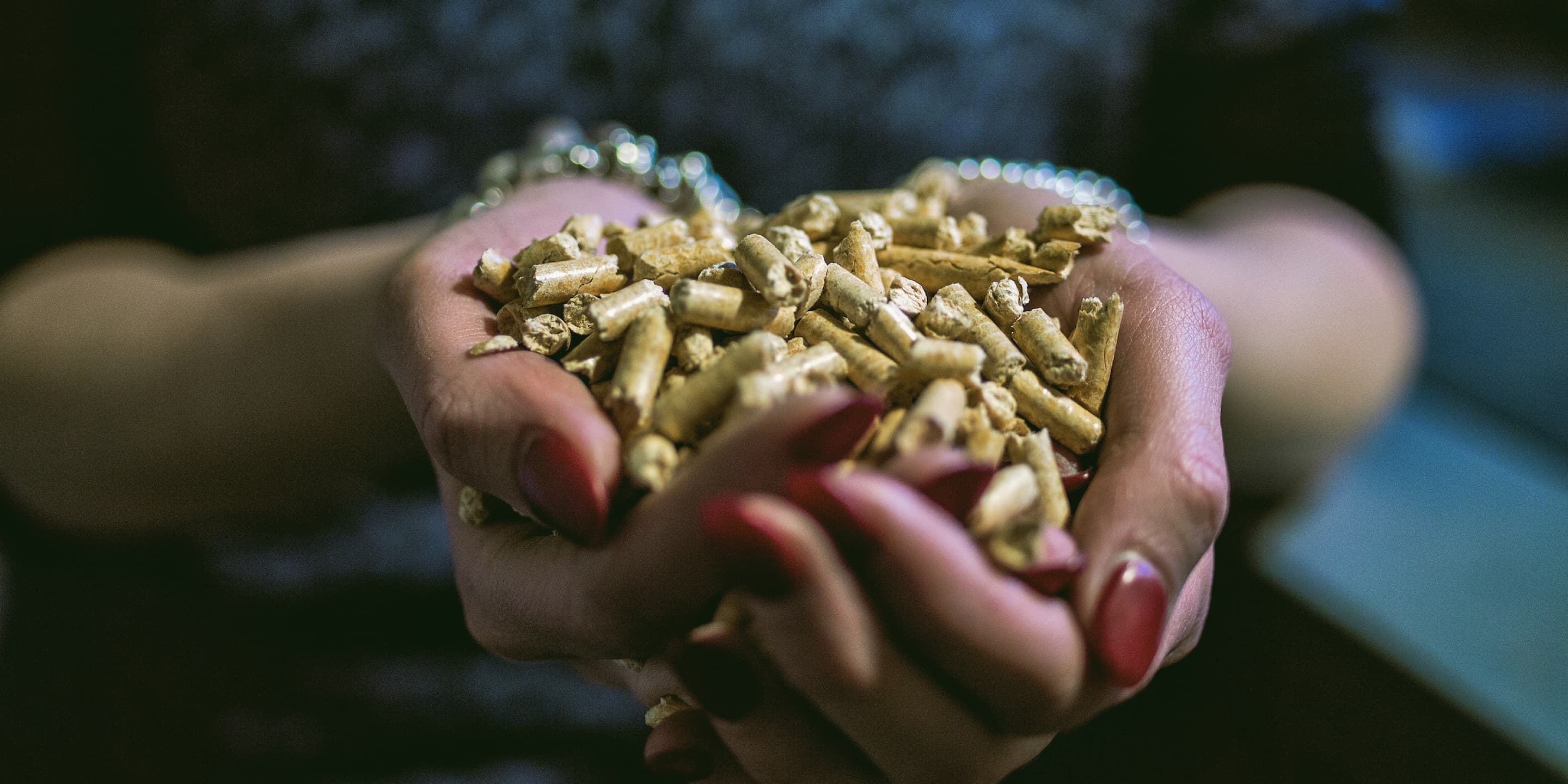 Erneuerbare Wärme für Vorarlberg