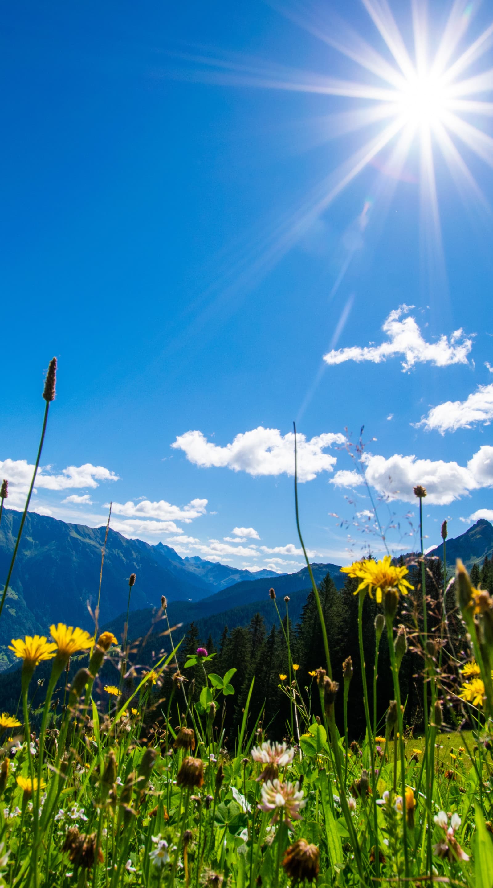 Der Tourismus der (Energie)Zukunft