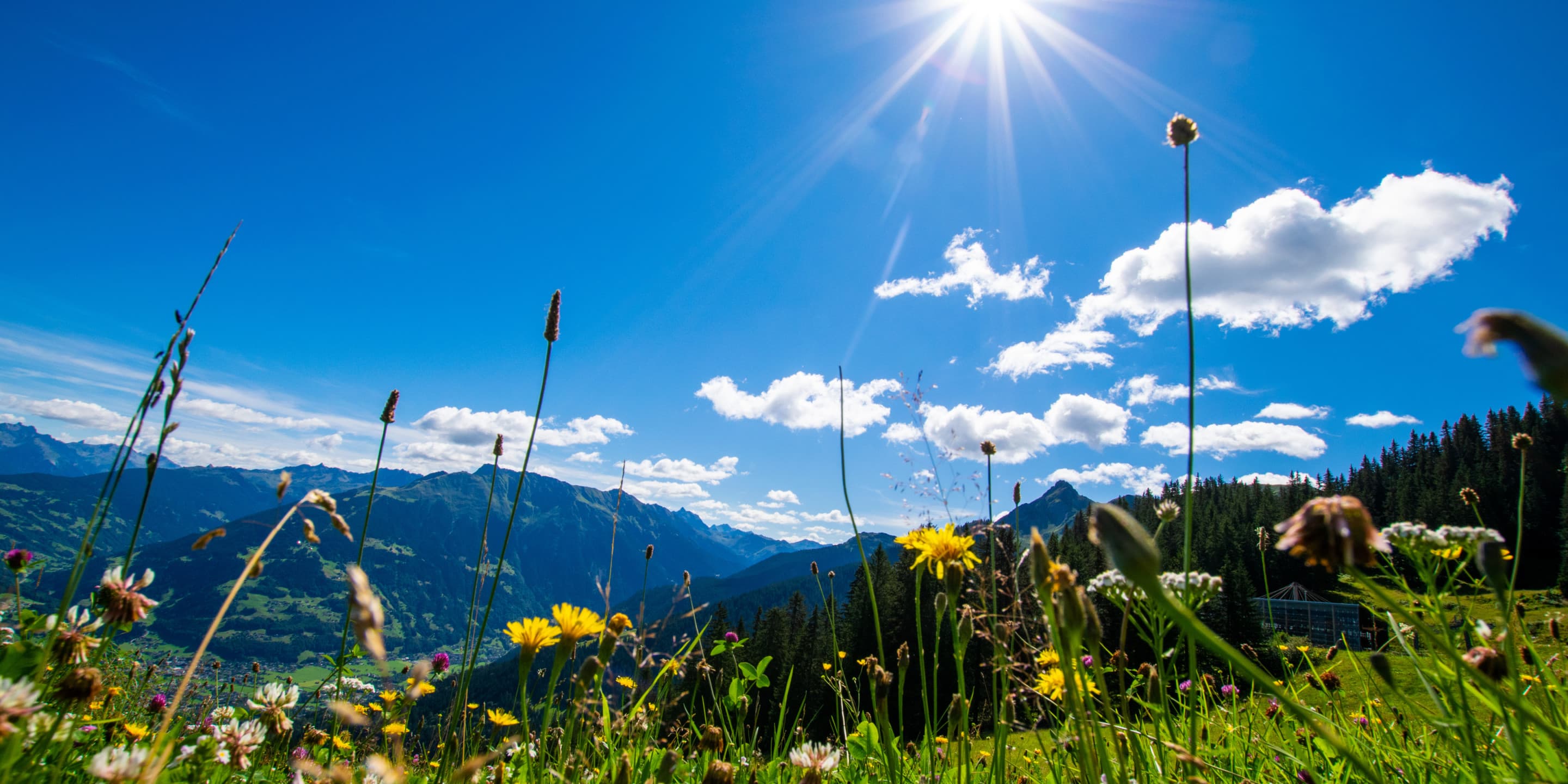 Der Tourismus der (Energie)Zukunft