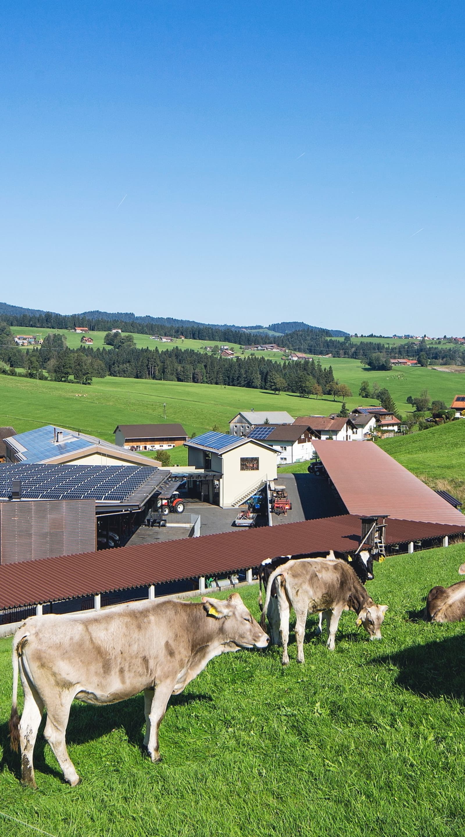 Sektor Land- und Forstwirtschaft