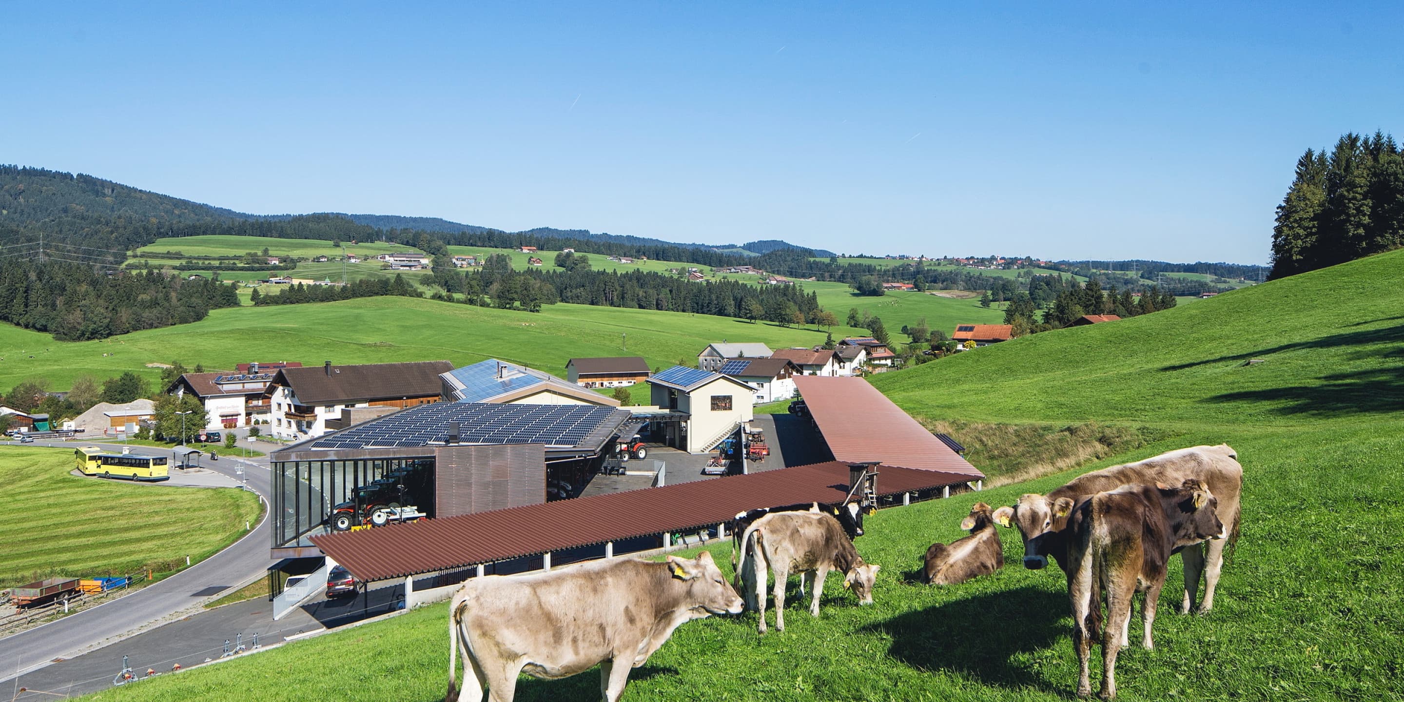 Sektor Land- und Forstwirtschaft