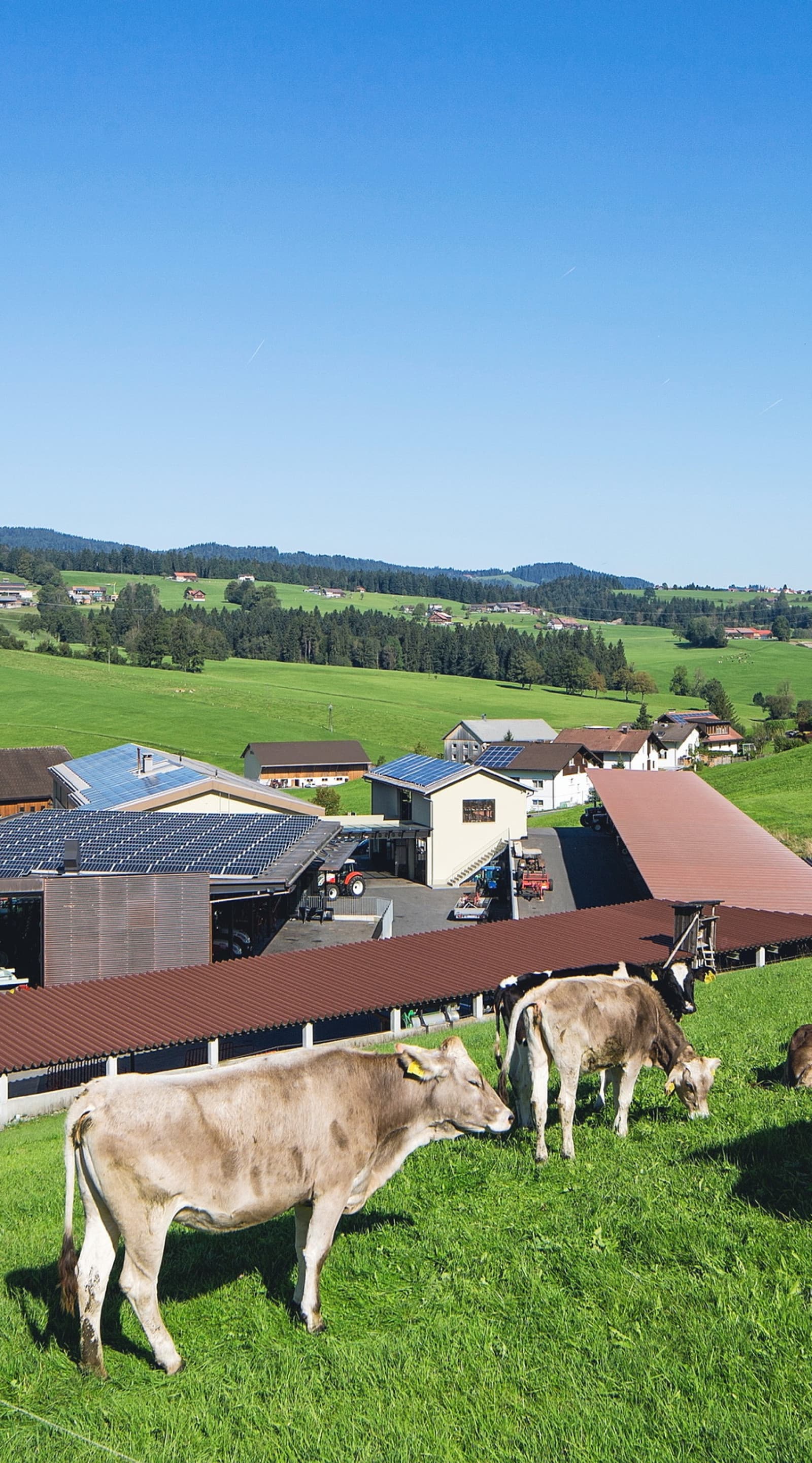 Sektor Land- und Forstwirtschaft