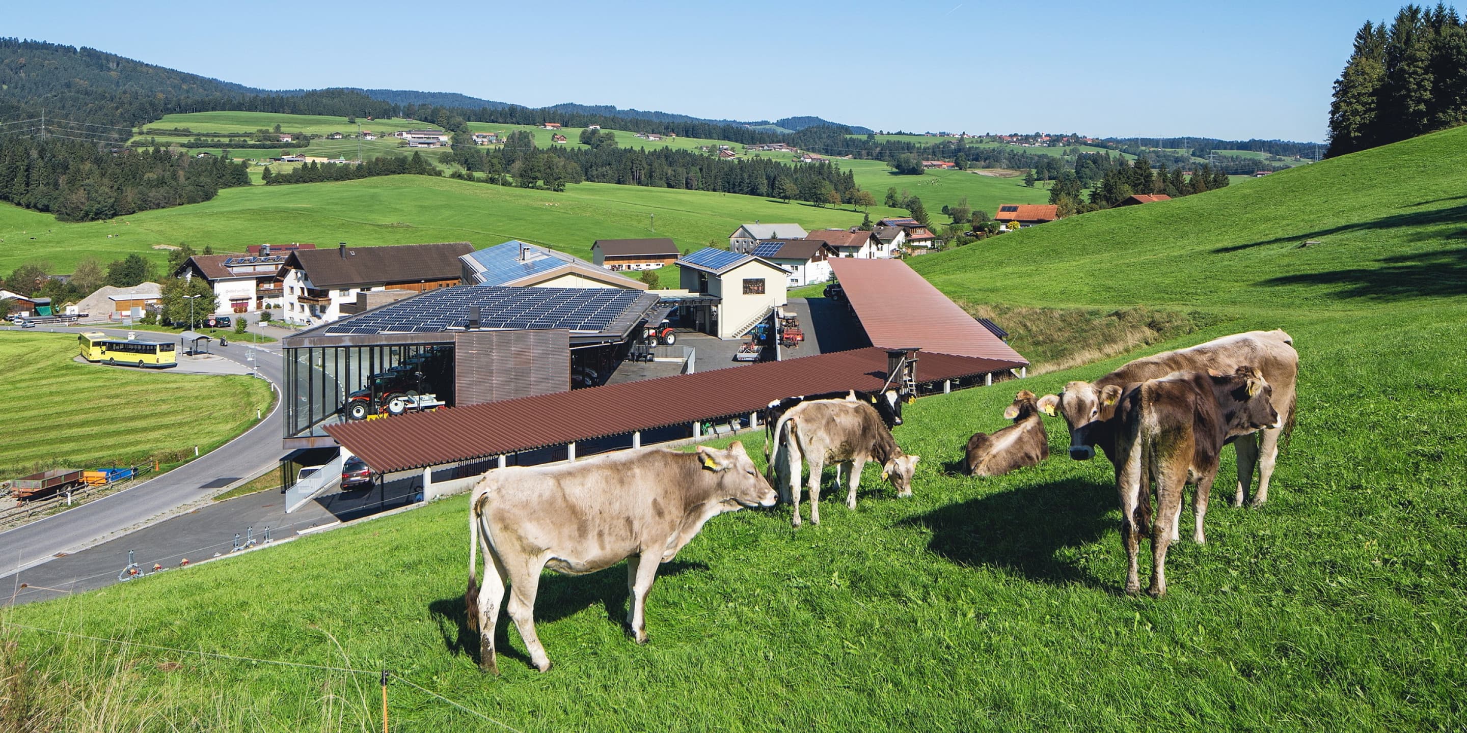 Sektor Land- und Forstwirtschaft