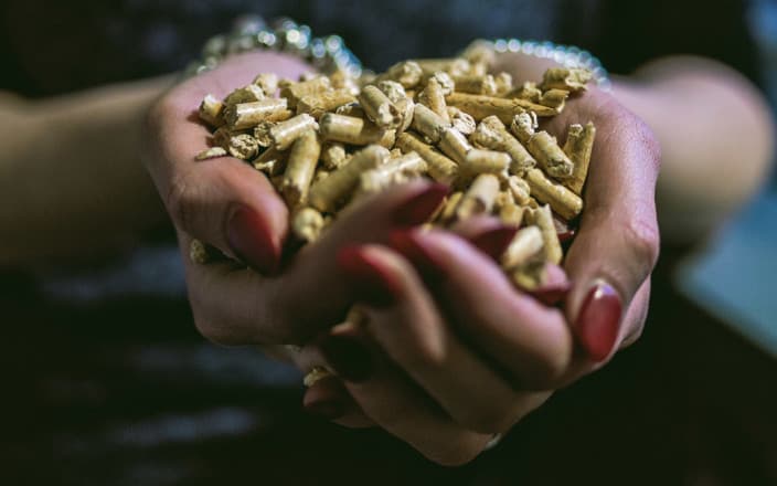 Erfolgsgeschichten aus dem Sektor